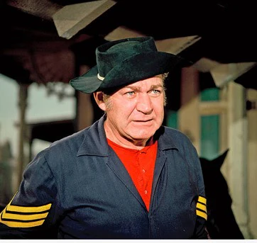 F TROOP - THE COMPLETE SERIES (ABC 1965-67) Ken Berry, Forrest Tucker, Larry Storch, Melody Patterson - Image 3