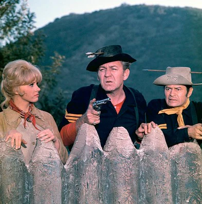 F TROOP - THE COMPLETE SERIES (ABC 1965-67) Ken Berry, Forrest Tucker, Larry Storch, Melody Patterson - Image 6