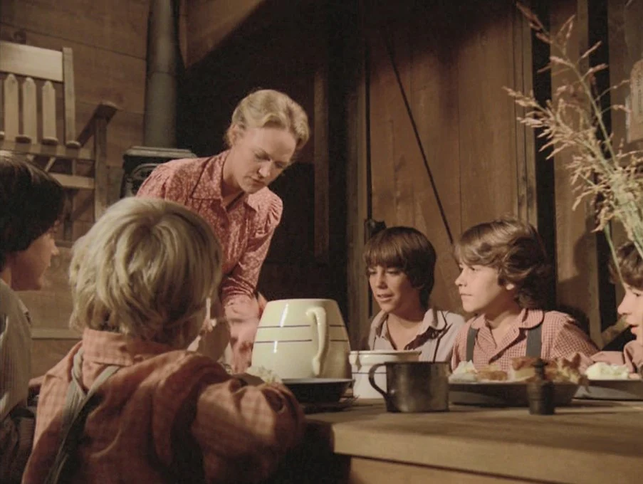 FATHER MURPHY – THE COMPLETE SERIES (NBC 1981-83) RARE!!! Merlin Olsen, Moses Gunn, Katherine Cannon, Timothy Gibbs - Image 4