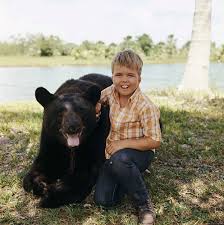 GENTLE BEN - THE COMPLETE SERIES + GENTLE GIANT MOVIE (CBS 1967-69) Dennis Weaver, Clint Howard, Beth Brickell, Rance Howard - Image 3