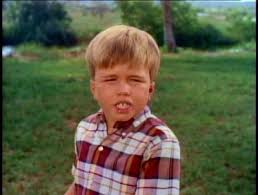 GENTLE BEN - THE COMPLETE SERIES + GENTLE GIANT MOVIE (CBS 1967-69) Dennis Weaver, Clint Howard, Beth Brickell, Rance Howard - Image 5