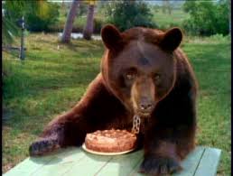 GENTLE BEN - THE COMPLETE SERIES + GENTLE GIANT MOVIE (CBS 1967-69) Dennis Weaver, Clint Howard, Beth Brickell, Rance Howard - Image 6