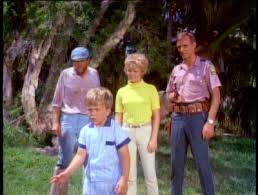 GENTLE BEN - THE COMPLETE SERIES + GENTLE GIANT MOVIE (CBS 1967-69) Dennis Weaver, Clint Howard, Beth Brickell, Rance Howard - Image 7