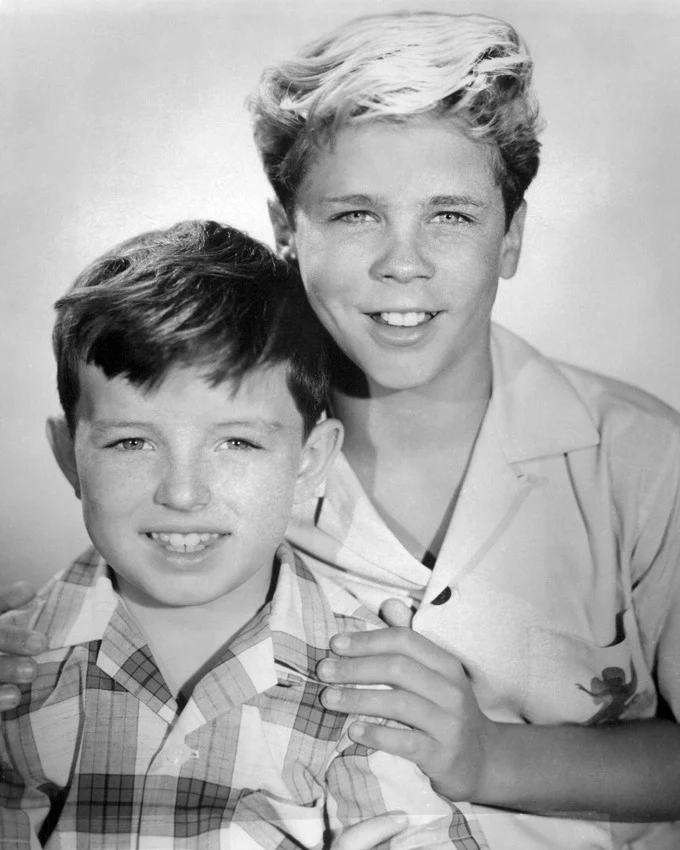 LEAVE IT TO BEAVER - THE COMPLETE SEIES (CBS & ABC 1957-63) Jerry Mathers, Tony Dow, Barbara Billingsley, Hugh Beaumont, Ken Osmond - Image 7