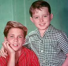LEAVE IT TO BEAVER - THE COMPLETE SEIES (CBS & ABC 1957-63) Jerry Mathers, Tony Dow, Barbara Billingsley, Hugh Beaumont, Ken Osmond - Image 8