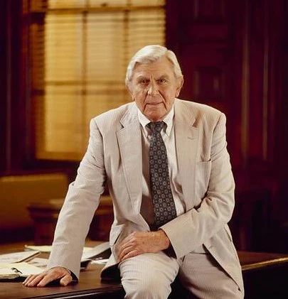 MATLOCK - THE COMPLETE SERIES (NBC/ABC 1986-95) + PILOT MOVIE Andy Griffith, Linda Purl, Kene Holliday, Nancy Stafford, Julie Sommars - Image 5