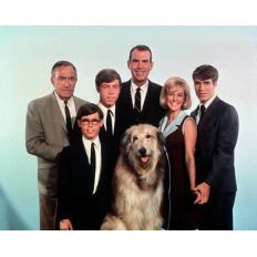 MY THREE SONS - THE COLLECTION  (ABC/CBS 1960-72) Fred MacMurray, Tim Considine, Don Grady, Stanley Livingston, William Frawley, William Demarest, Barry Livingston, Tina Cole, Beverly Garland, Meredith MacRay, Ronne Troup, Dawn Lyn - Image 3