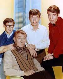 MY THREE SONS - THE COLLECTION  (ABC/CBS 1960-72) Fred MacMurray, Tim Considine, Don Grady, Stanley Livingston, William Frawley, William Demarest, Barry Livingston, Tina Cole, Beverly Garland, Meredith MacRay, Ronne Troup, Dawn Lyn - Image 5