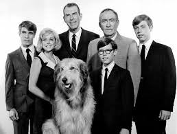 MY THREE SONS - THE COLLECTION  (ABC/CBS 1960-72) Fred MacMurray, Tim Considine, Don Grady, Stanley Livingston, William Frawley, William Demarest, Barry Livingston, Tina Cole, Beverly Garland, Meredith MacRay, Ronne Troup, Dawn Lyn - Image 6