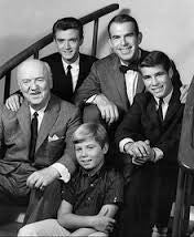 MY THREE SONS - THE COLLECTION  (ABC/CBS 1960-72) Fred MacMurray, Tim Considine, Don Grady, Stanley Livingston, William Frawley, William Demarest, Barry Livingston, Tina Cole, Beverly Garland, Meredith MacRay, Ronne Troup, Dawn Lyn - Image 7