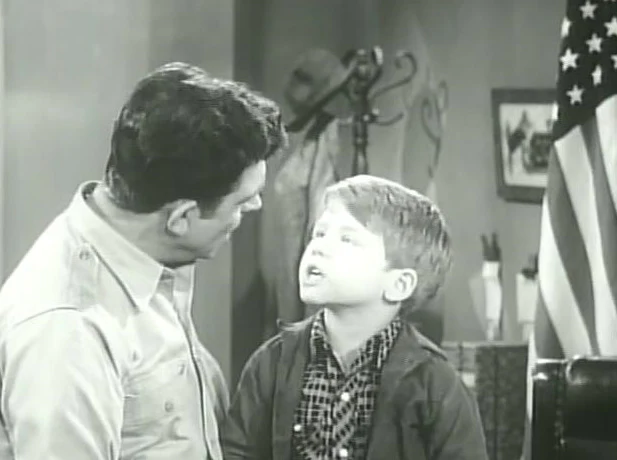 RON HOWARD VOL 4 - TWILIGHT ZONE/MAKE ROOM FOR DANNY/THE FUGITIVE (1959/60/64) - Image 5