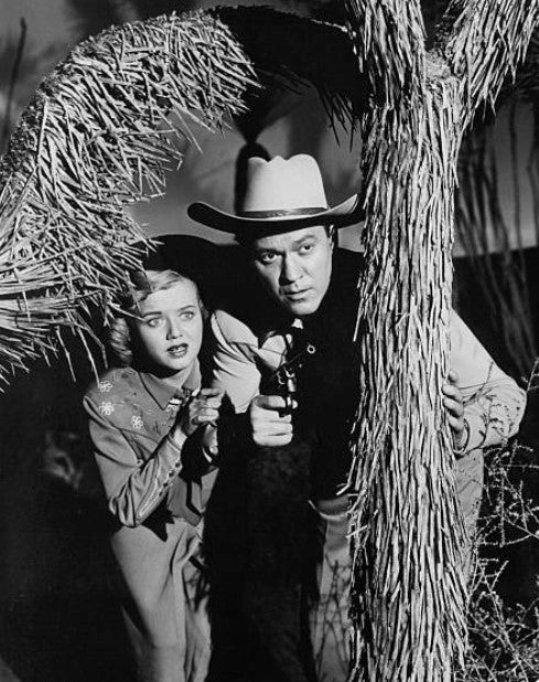 SKY KING – THE COMPLETE SERIES (NBC 1952-59) EXCELLENT QUALITY!!! Kirby Grant, Gloria Winters, Ron Hagerthy - Image 8