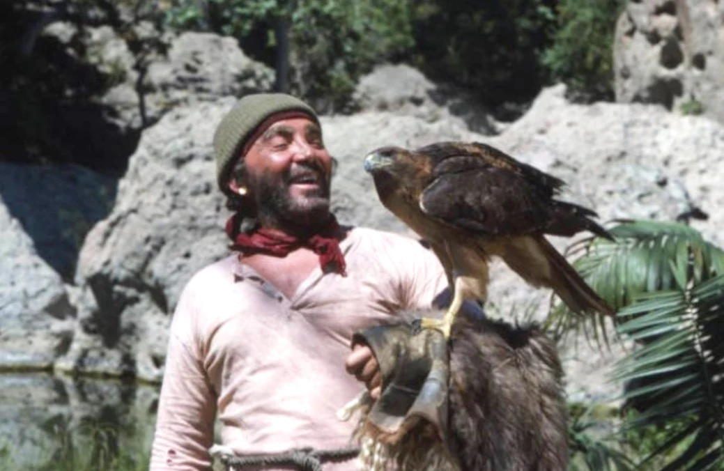 SWISS FAMILY ROBINSON, THE - THE COMPLETE SERIES + PILOT MOVIE (ABC 1975-76) EXTREMELY RARE!!! Martin Milner, Helen Hunt, Cameron Mitchell, Pat Delaney, Willie Aames, Eric Olson - Image 10