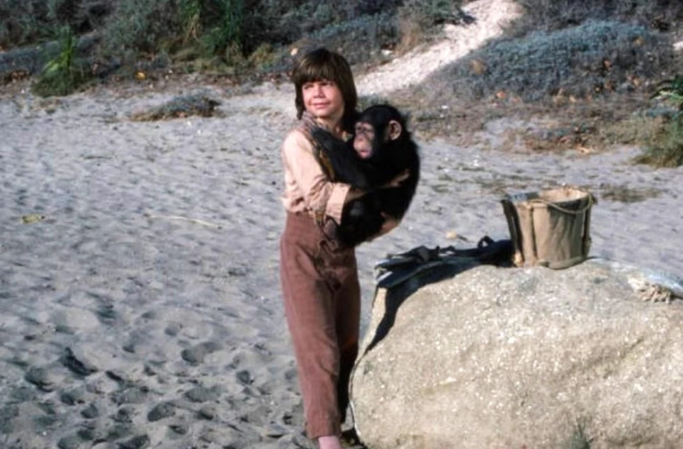 SWISS FAMILY ROBINSON, THE - THE COMPLETE SERIES + PILOT MOVIE (ABC 1975-76) EXTREMELY RARE!!! Martin Milner, Helen Hunt, Cameron Mitchell, Pat Delaney, Willie Aames, Eric Olson - Image 13