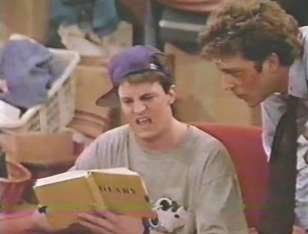 SYDNEY - THE COMPLETE SERIES (CBS 1990) VERY RARE!!! Valerie Bertinelli, Matthew Perry, Craig Bierko, Rebeccah Bush, Perry Anzilotti, Daniel Baldwin, Georgia Brownby - Image 11