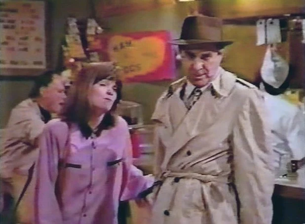 SYDNEY - THE COMPLETE SERIES (CBS 1990) VERY RARE!!! Valerie Bertinelli, Matthew Perry, Craig Bierko, Rebeccah Bush, Perry Anzilotti, Daniel Baldwin, Georgia Brownby - Image 12