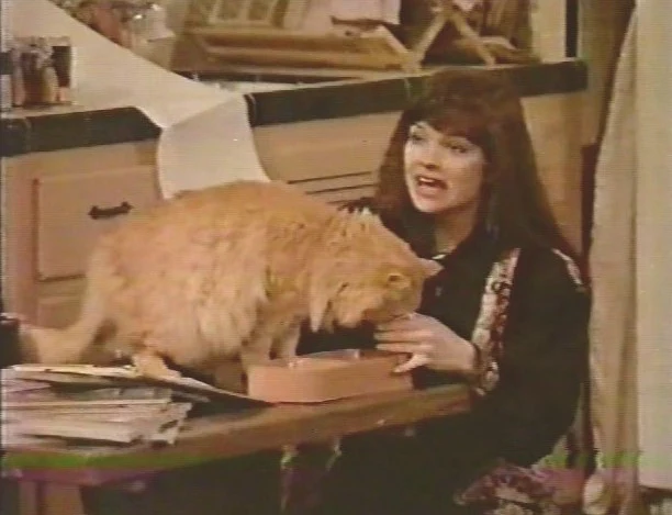 SYDNEY - THE COMPLETE SERIES (CBS 1990) VERY RARE!!! Valerie Bertinelli, Matthew Perry, Craig Bierko, Rebeccah Bush, Perry Anzilotti, Daniel Baldwin, Georgia Brownby - Image 13