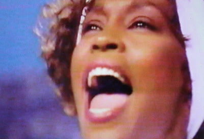 TELEVISION’S GREATEST PERFORMANCES (ABC 11/23/95) Michael Jackson, Frank Sinatra, Madonna, Whitney Houston, Steve Martin, Diana Ross, The Muppets, Jimmy Smits - Image 10