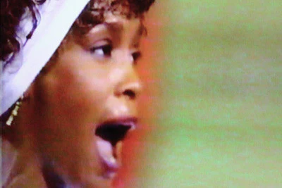 TELEVISION’S GREATEST PERFORMANCES (ABC 11/23/95) Michael Jackson, Frank Sinatra, Madonna, Whitney Houston, Steve Martin, Diana Ross, The Muppets, Jimmy Smits - Image 9