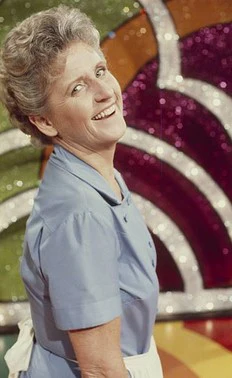 BRADY BUNCH HOUR, THE - THE COMPLETE SERIES (ABC 1976/77) EXTREMELY RARE!!! BROADCAST QUALITY!!! Robert Reed, Florence Henderson, Ann B. Davis, Maureen McCormick, Barry Williams, Christopher Knight, Susan Olsen, Mike Lookinland, Geri Reischl - Image 10