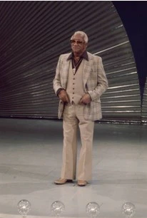 BRADY BUNCH HOUR, THE - THE COMPLETE SERIES (ABC 1976/77) EXTREMELY RARE!!! BROADCAST QUALITY!!! Robert Reed, Florence Henderson, Ann B. Davis, Maureen McCormick, Barry Williams, Christopher Knight, Susan Olsen, Mike Lookinland, Geri Reischl - Image 19