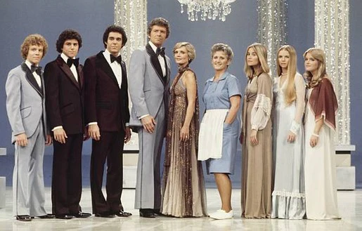 BRADY BUNCH HOUR, THE - THE COMPLETE SERIES (ABC 1976/77) EXTREMELY RARE!!! BROADCAST QUALITY!!! Robert Reed, Florence Henderson, Ann B. Davis, Maureen McCormick, Barry Williams, Christopher Knight, Susan Olsen, Mike Lookinland, Geri Reischl - Image 3