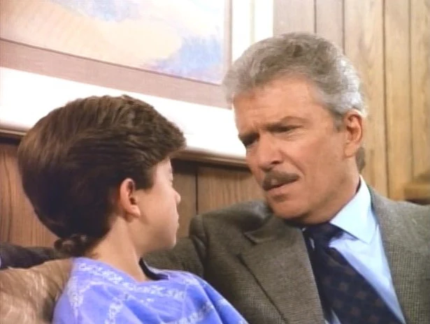 BRADYS, THE (CBS 1990) RARE!!! Robert Reed, Florence Henderson, Barry Williams, Christopher Knight, Mike Lookinland, Eve Plumb, Susan Olsen, Ann B. Davis, Jerry Houser, Ron Kuhlman, Leah Ayres, Martha Quinn, Caryn Richman - Image 11