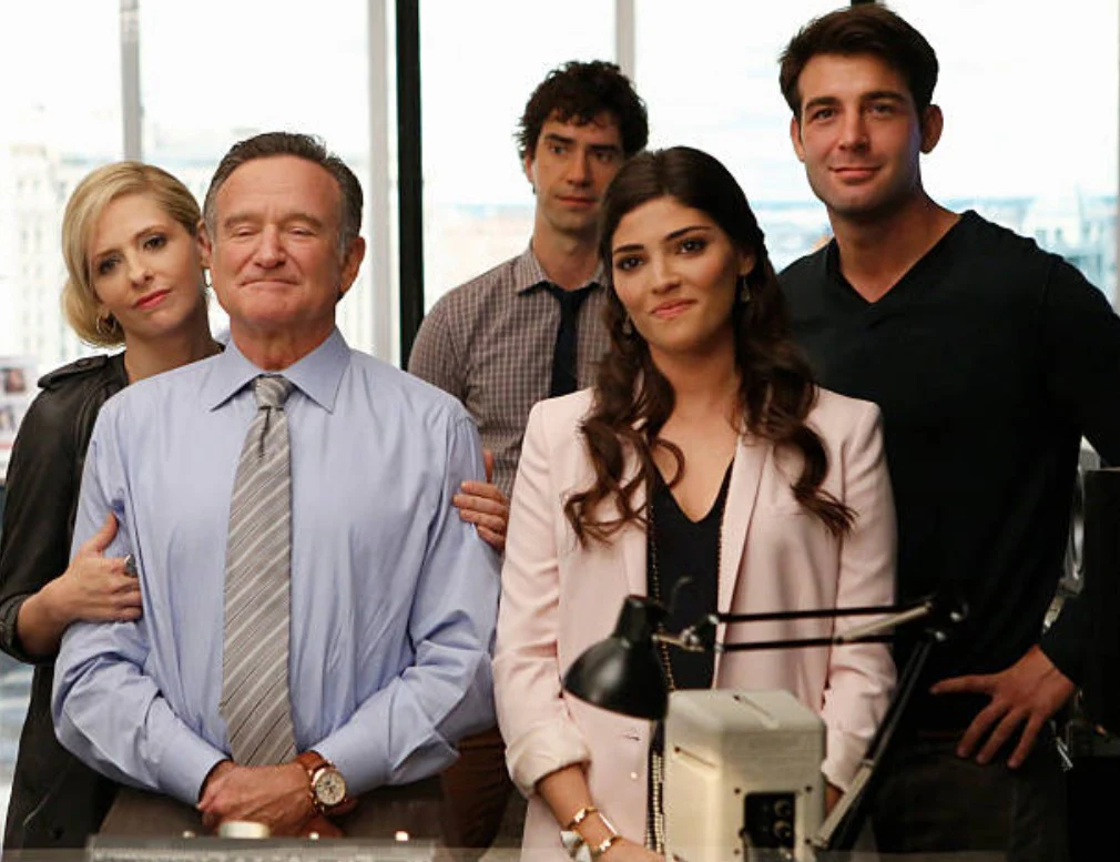 CRAZY ONES, THE - THE COMPLETE SERIES (CBS 2013) Robin Williams, Sarah Michelle Gellar, James Wolk, Hamish Linklater, Amanda Setton, Brad Garrett - Image 3