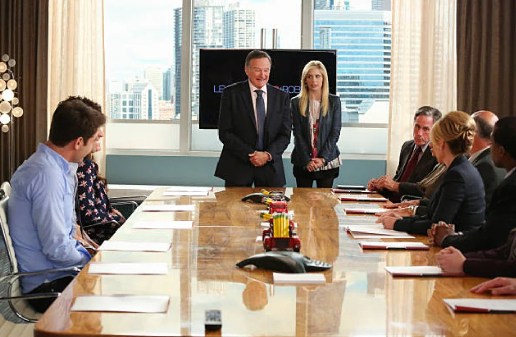 CRAZY ONES, THE - THE COMPLETE SERIES (CBS 2013) Robin Williams, Sarah Michelle Gellar, James Wolk, Hamish Linklater, Amanda Setton, Brad Garrett - Image 6