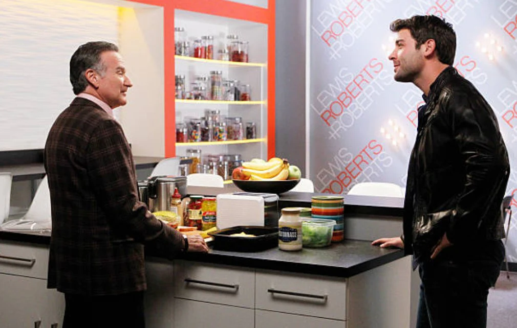 CRAZY ONES, THE - THE COMPLETE SERIES (CBS 2013) Robin Williams, Sarah Michelle Gellar, James Wolk, Hamish Linklater, Amanda Setton, Brad Garrett - Image 7