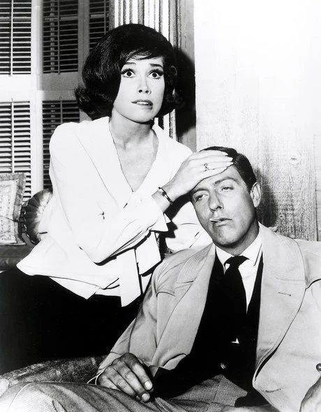 DICK VAN DYKE SHOW, THE + RARE PILOT (CBS 1961-1966) EXCEPTIONAL QUALITY!!! Dick Van Dyke, Mary Tyler Moore, Rose Marie, Morey Amsterdam, Richard Deacon, Jerry Paris, Ann Morgan Guilbert, Larry Mathews - Image 3