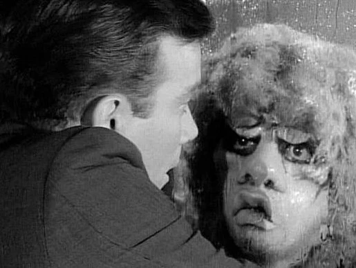 TWILIGHT ZONE, THE - THE COMPELETE ORIGINAL SERIES (CBS 1958-1964) RETAIL QUALITY!!! Rod Serling - Image 11