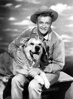 WESTERNER, THE - THE COMPLETE SERIES (NBC 1960) Brian Keith - Image 3