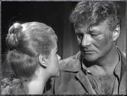 WESTERNER, THE - THE COMPLETE SERIES (NBC 1960) Brian Keith - Image 5